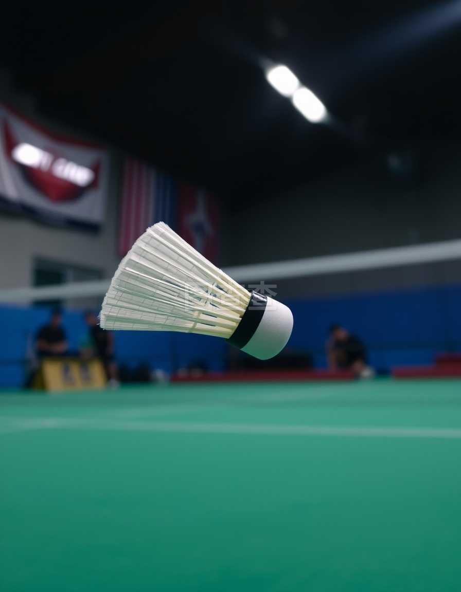 不仅推动了 不仅推动了