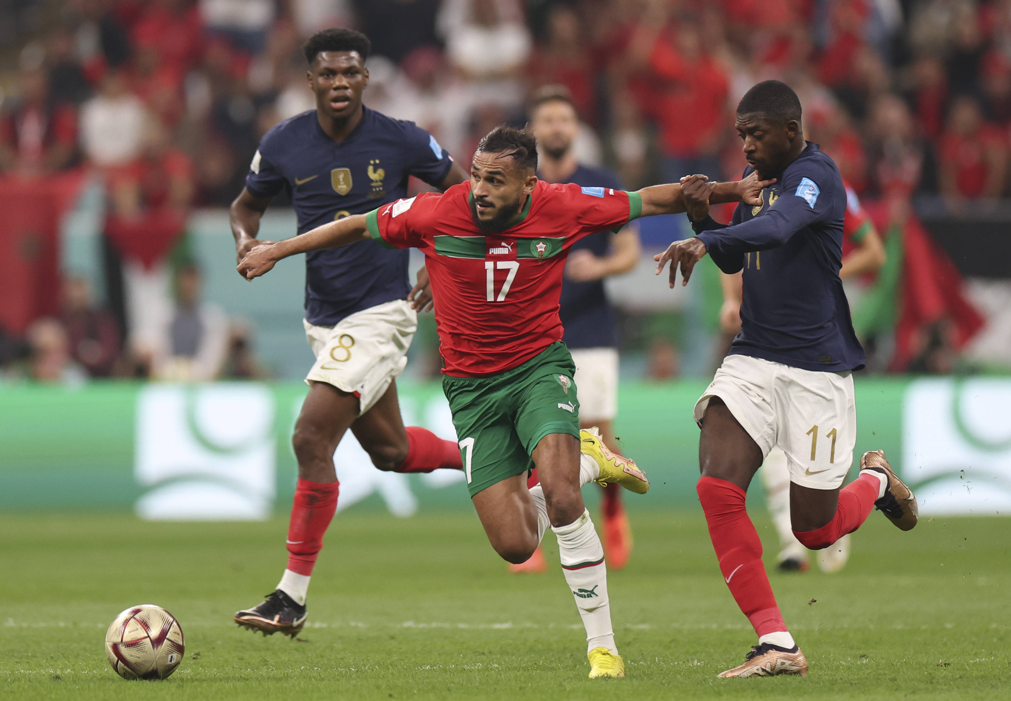 近日消息 近日消息